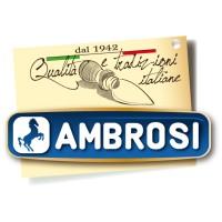 Ambrosi S.P.A