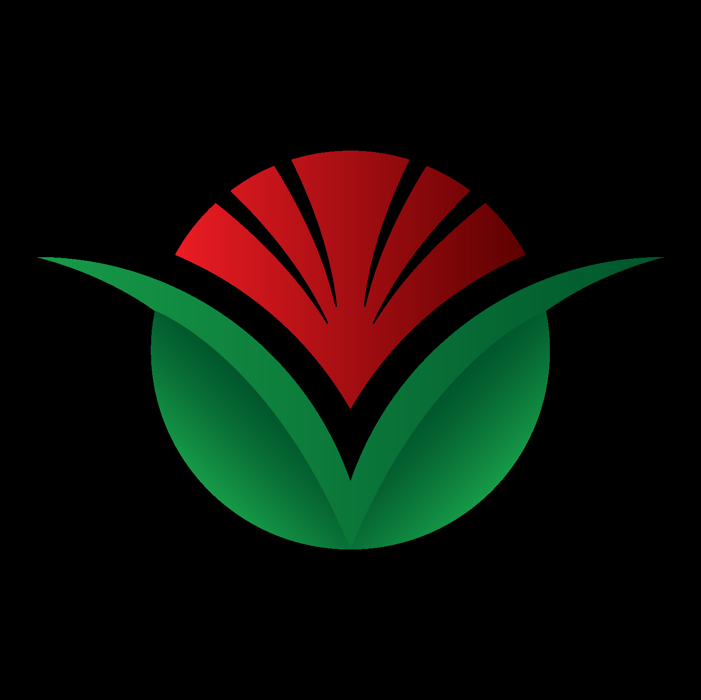 supplier