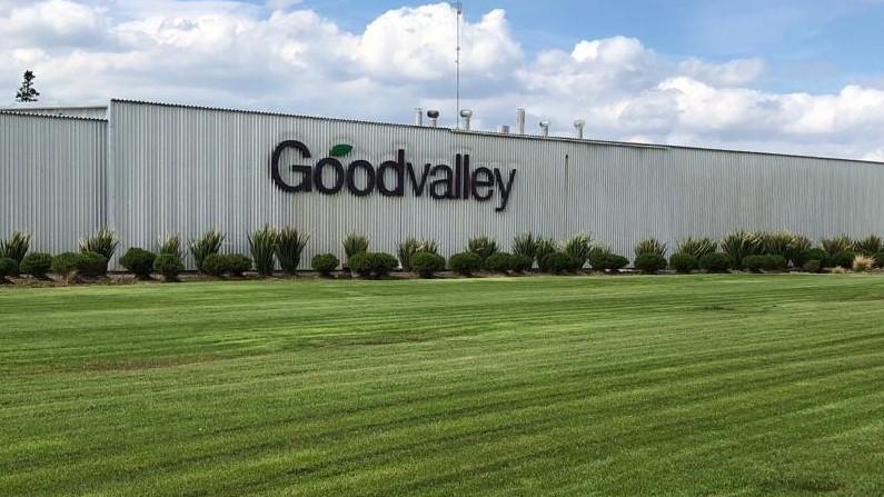 Goodvalley