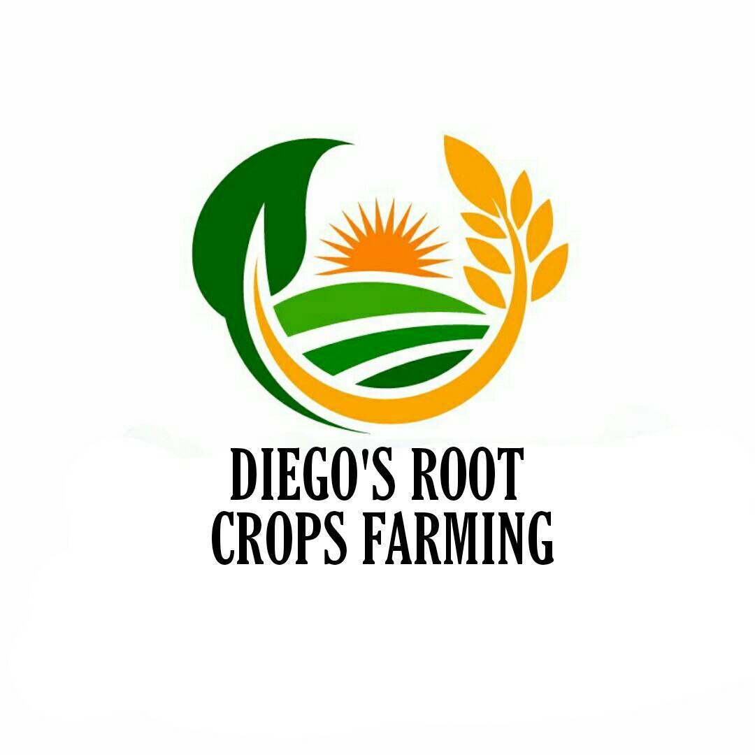 Diego's Root Crops Farming