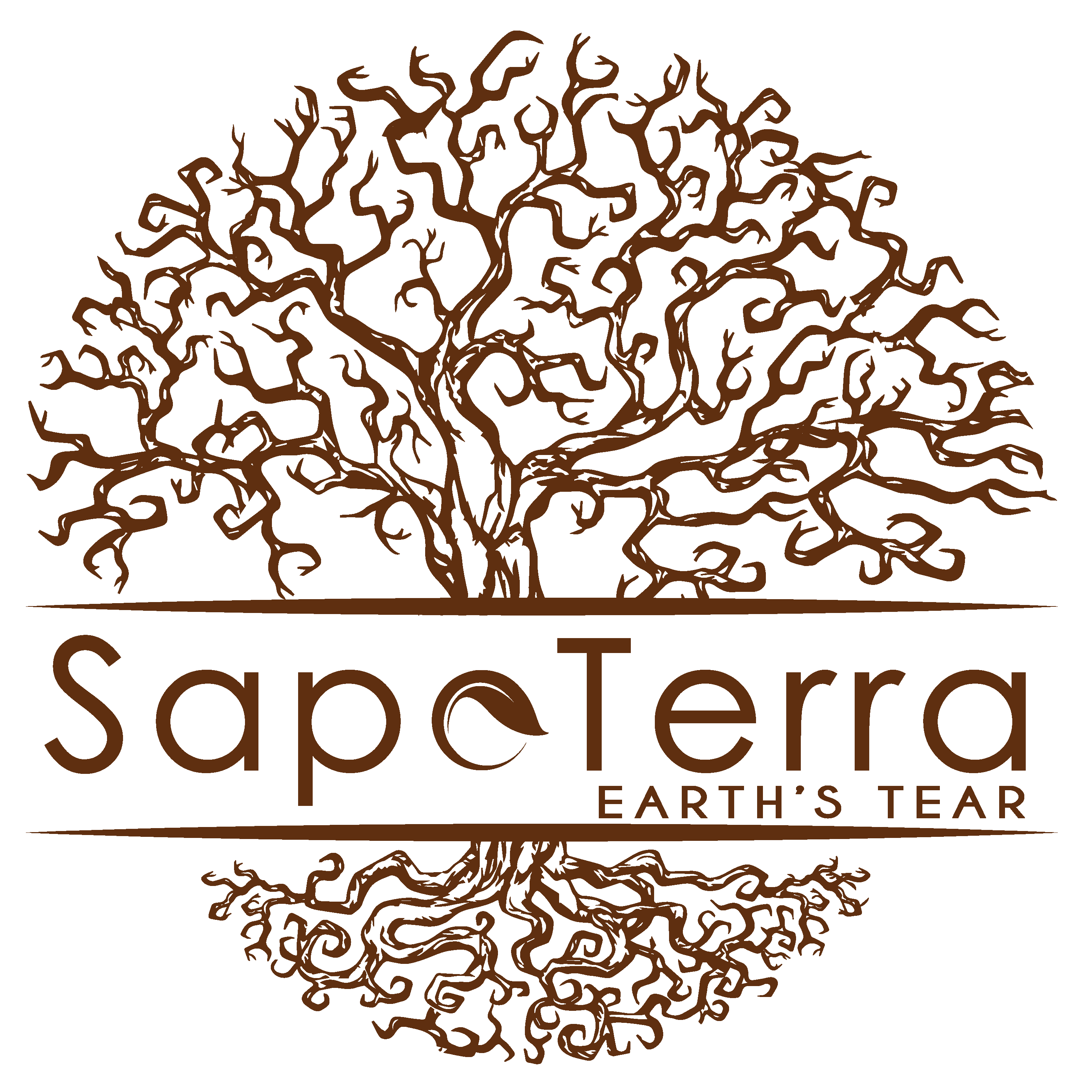 SapoTerra