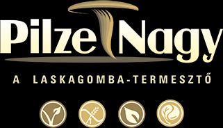 Pilze-Nagy Kft.