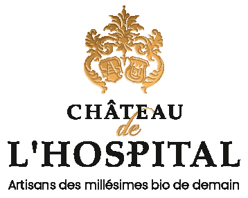 Château de L'Hospital