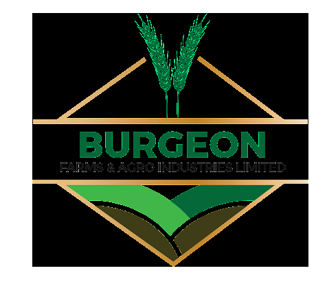 Burgeon Farms and Agro Industries Limited