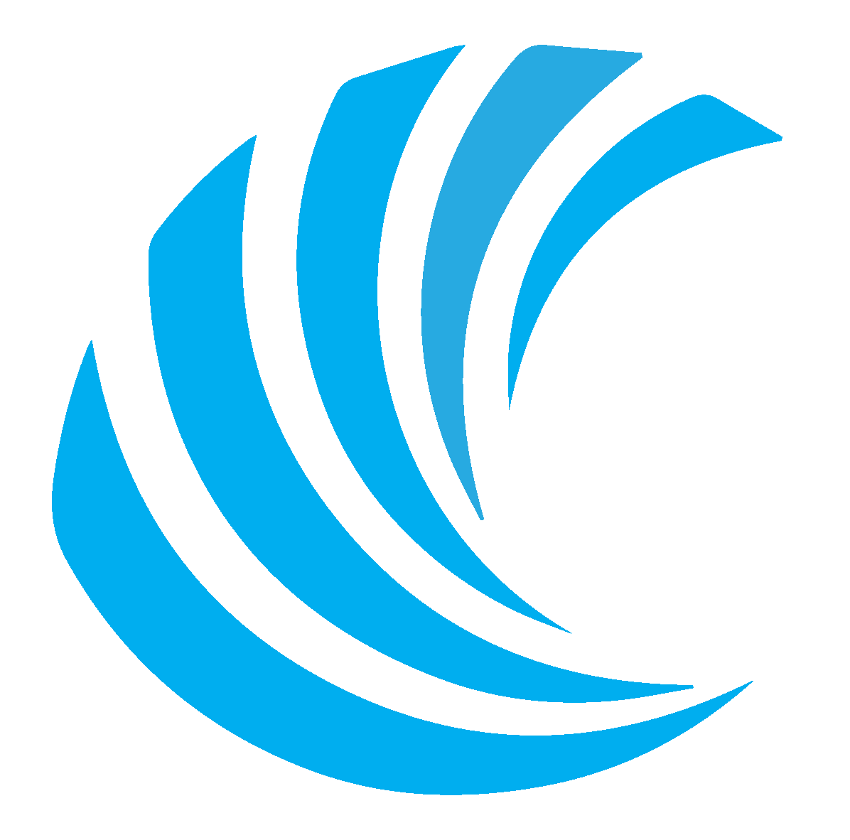 Desiccated Coconut High Fat