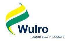 Chicken Egg