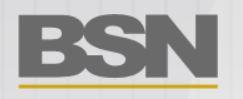 BSN GIDA AMBALAJ DIS TICARET VE SANAYI LIMITED SIRKETI