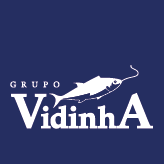 Vidinha Group