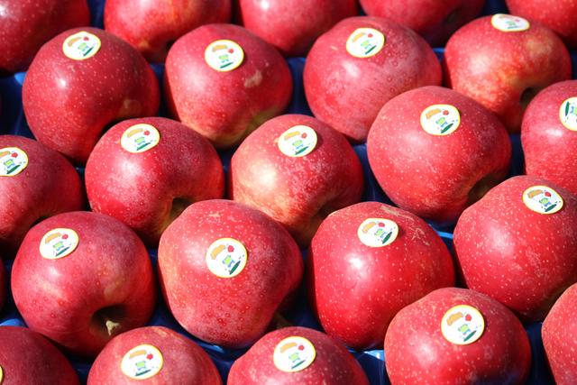 Apple Gala Royal
