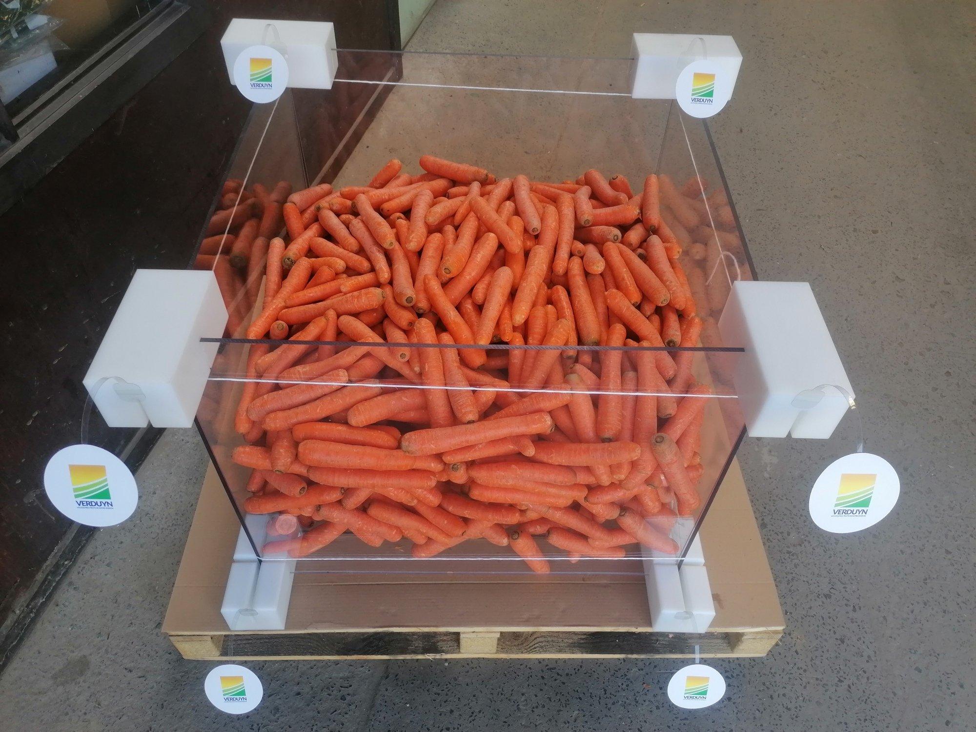 Carrots