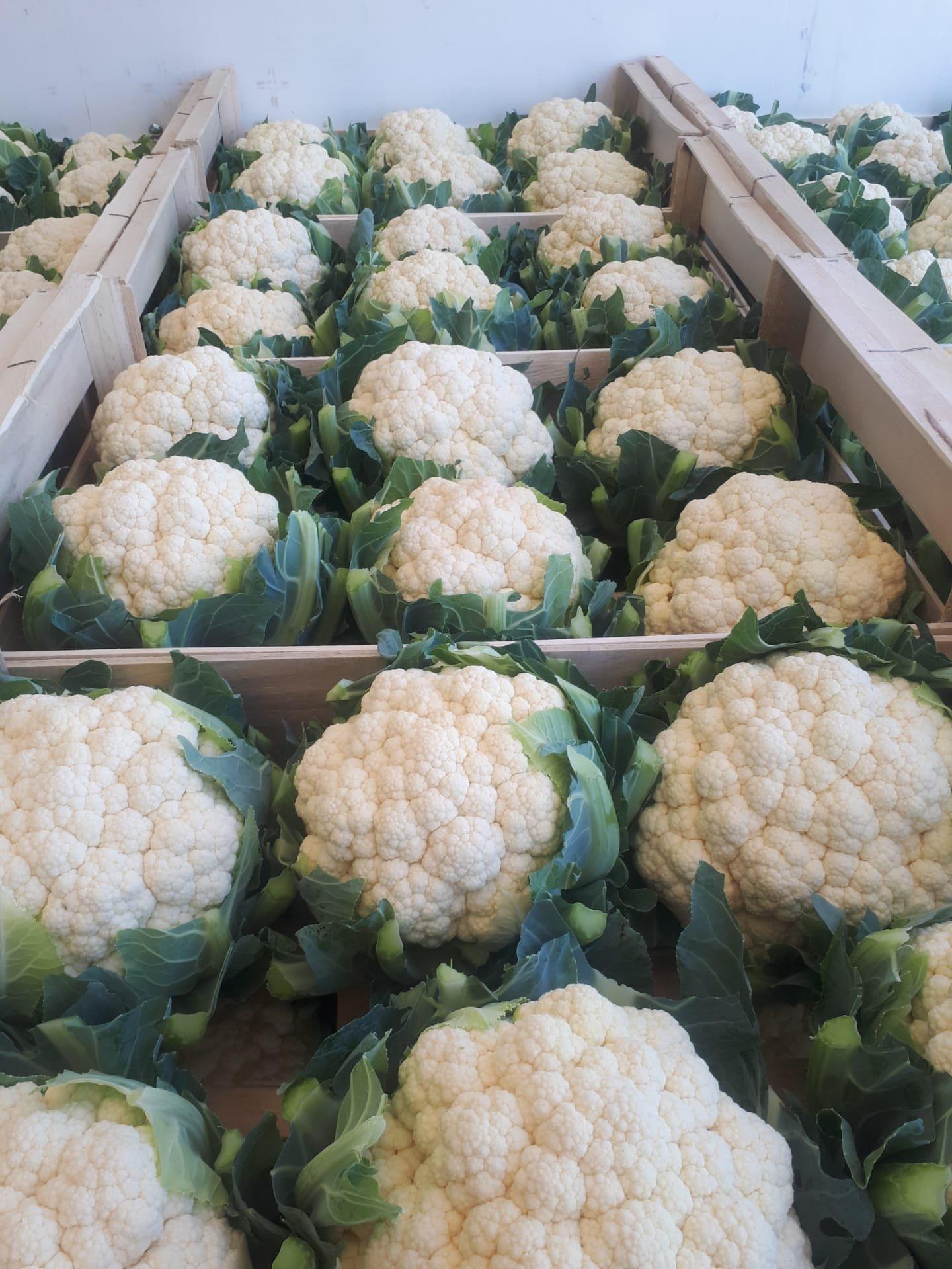Cauliflower