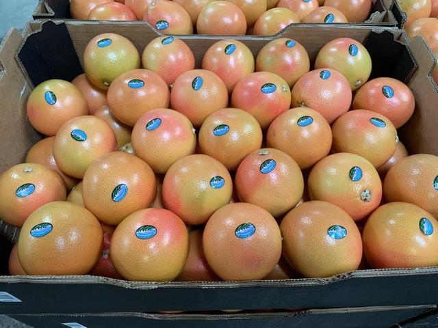 Grapefruit