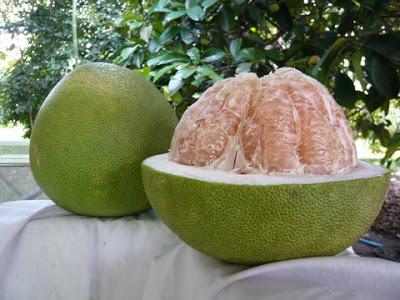Fresh Pomelo