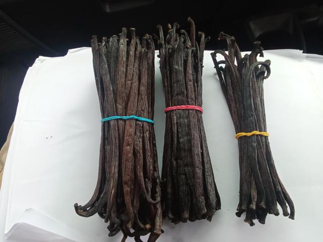 Grade C Vanilla Bean Tahitensis