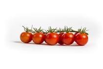 Cherry Tomato