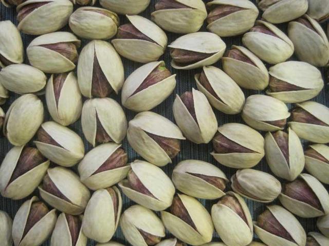 Pistachio
