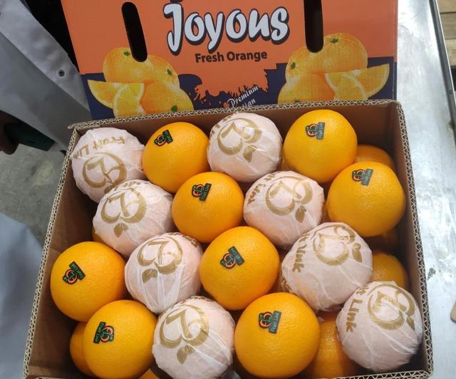 Valencia Oranges