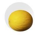 Honeydew Melon